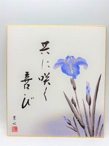 【三枝堂】 新品　季節の名花色紙　実篤名句選「菖蒲」　筆者：葉水　☆送料は当社負担☆　1点限り