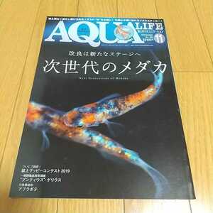 月刊アクアライフ 2019年11月号 次世代のメダカ ※付録ステッカーなし AQUA LIFE 雑誌 魚 飼育 アクアリウム 0100015