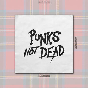 ★ＵＫパンクファッション★ ANARCHY SHIRTS に人気 ★ PUNKS NOT DEAD 32cm大判