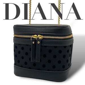 極美品　DIANA ダイアナ　ショルダーバッグ　バニティ　パーティー　ブラック