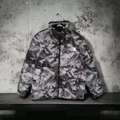 ノースフェイス NOVELTY ASPEN EX ON BALL JACKET