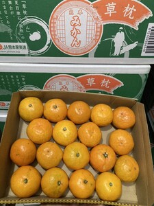 429.高級みかん草枕みかん秀品箱込み約1.2kg