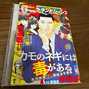 送料無料！グランドジャンプ ２０２４年６月５日号 12号　斎藤恭代 両面クリアファイル付き