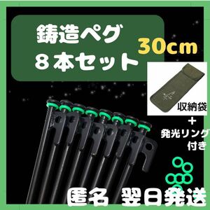 鋳造ペグ　30cm 8本セット　収納袋 蓄光リング付き