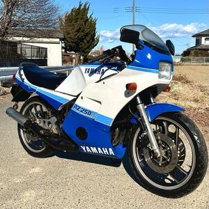 RZ250RR 書類付 29L 現状 ベース 部品 希少 フルカウル おむすび ヤマハ 検)NSR NS RZ R1Z SDR TDR TZR RGV ウルフ KR KR1 RD GT ガンマ 