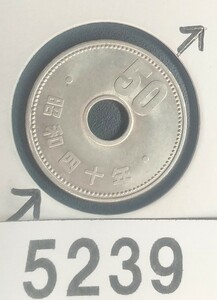 5239 エラー銭穴ズレ昭和40年大型菊50円硬貨