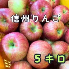 大特価 信州りんご 約5キロ（箱の重さ込み）#5