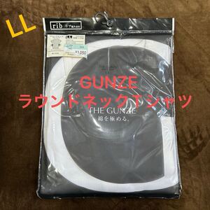 【送料込】850円スタート☆LLグンゼGUNZEラウンドネックTシャツ白フィットタイプXパッケージ汚れあり