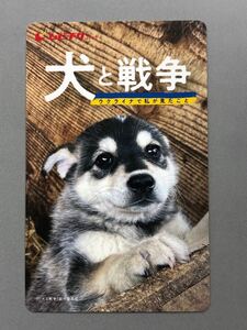 【番号通知のみ】犬と戦争　ウクライナで私が見たこと　ムビチケ 一般　送料無料　12/6公開