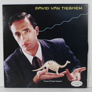 L03/LP promo/David Van Tieghem - These Things Happen/国内見本盤 P-11488