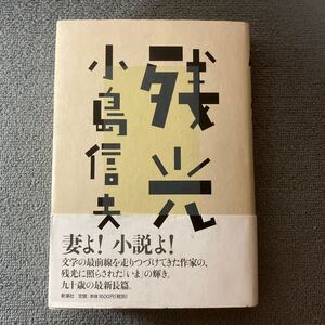 残光 小島信夫／著　新潮社