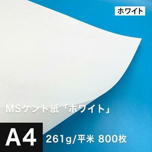 ケント紙 a4 MSケント紙 ホワイト 261g/平米 A4サイズ：800枚 画用紙 白 ラッピング 包装紙 DIY 工作用紙 アート作品 手芸 印刷紙