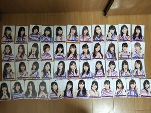 乃木坂46 生写真 フルコンプ 封入　いつかできるから今日できる　45メンバー×4種類　180枚