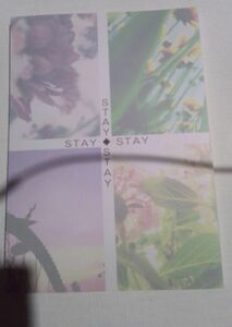 SMAP 同人誌STAY STAY 木中、綾辻沙理