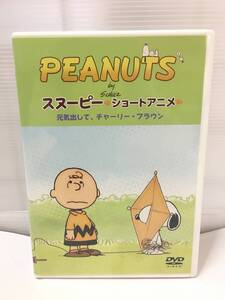 V230 アニメ DVD PEANUTS スヌーピー ショートアニメ 元気出して、チャーリー・ブラウン 1話完結ショートアニメ 8話収録 キッズアニメ