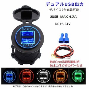 車載ソケット電源 カーデュアルUSB充電器 イルミライト付き DC12V-24V対応 USB出力ポート2個 Max4.2A ブルー GL-CDIYU200