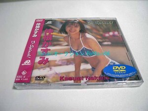 ＜未開封＞ DVD 仲根かすみ D-Splash!