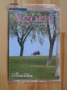 ★送料無料★JAL Agora2009/3★ハレアカラの夕陽★ミ