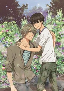 SUPER LOVERS 2第3巻限定版 [DVD](中古品)　(shin