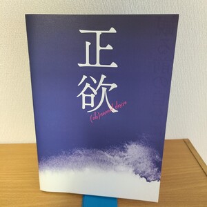 映画「正欲」パンフレット(2023年) 朝井リョウ/稲垣吾郎/新垣結衣