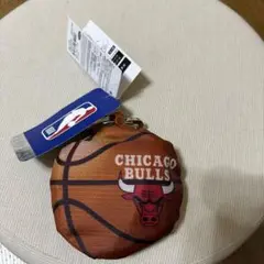 NBA シカゴ・ブルズ バスケットボール型バッグ