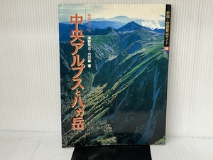 中央アルプスと八ガ岳: 特選10コース (空撮登山ガイド 新版 10) 山と溪谷社 津野 祐次