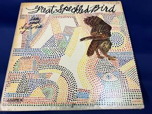 Great Speckled Bird★中古LP/USオリジナル盤「グレイト・スペックルド・バード」