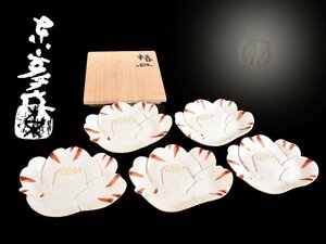 【雲】某収集家放出品 京焼 白釉 椿形皿 5客 14.5×11.5×1.5cm 共箱 古美術品(向付懐石料理道具)Y3024 LTxcfds