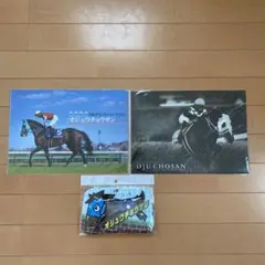 JRA 競馬グッズ　オジュウチョウサンクリアファイル2枚&馬券ケース