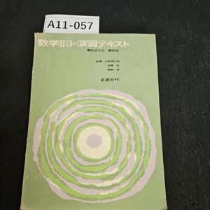 A11-057 数学川B・演習テキスト 技法中心 新版 共著.五味淵正詞 佐藤忠 尾將一湾 正進社刊 書き込みライン数十ページあり