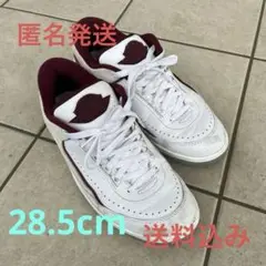 NIKE エアジョーダン2   RETRO  LOW 28.5