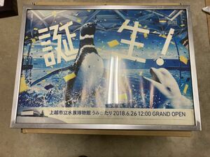 八◆しなの鉄道 115系 S12編成 クハ115-1037 5 しなの鉄道色 車内広告枠 上越市立水族博物館 広告付き 中古 JR東日本 国鉄 鉄道部品◆