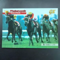 ファレノプシス　競馬　カード　CARD　MADE IN JAPAN