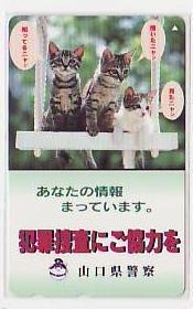 5-h147 動物 ネコ 猫 警察 山口県警 テレカ