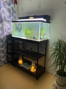 Aquarium 90x45x45