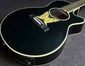 Epiphone エピフォン EO-2 EB エレアコ