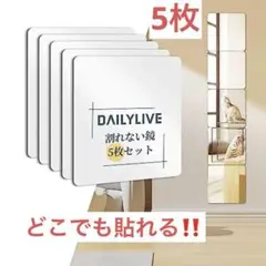 DAILYLIVE 割れない鏡 貼る鏡 全身鏡 姿見鏡 壁掛け ミラー 風呂