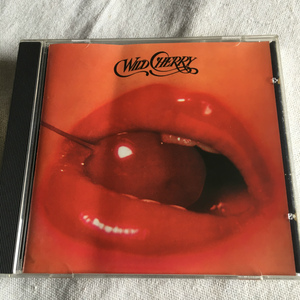 WILD CHERRY「WILD CHERRY」＊白人Blue Eyed Soul / Disco Bandの1976年リリース・デビューアルバム　＊「Play That Funky Music」収録