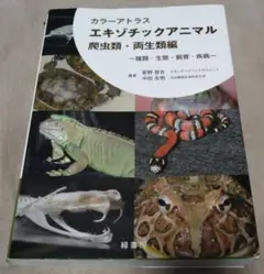 最終値下げ♪カラーアトラスエキゾチックアニマル 爬虫類・両生類編