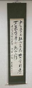 言志晩録 落款あり 肉筆 本紙サイズ137x33cm 漢字 A3