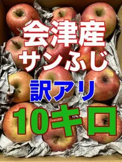 会津産サンふじ【訳アリ品】10キロ