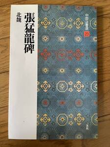 書道本　張猛龍碑　北魏　中国法書選23　二玄社