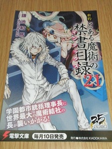 新約 とある魔術の禁書目録 21巻 ポストカード 電撃文庫 非売品 はいむらきよたか