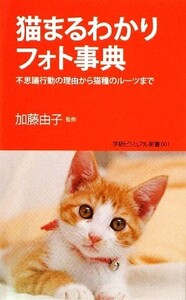 猫まるわかりフォト事典 不思議行動の理由から猫種のルーツまで 学研新書学研ビジュアル新書/加藤由子【監修】,井川俊彦【写真】