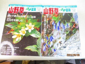 [緑の市場] 本 山野草とミニ盆栽 2014年夏/秋号 2冊組 (W105/1046)＊定形外郵便発送：送料無料※ポスト投函