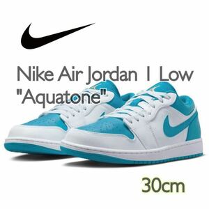 Nike Air Jordan 1 Low Aquatone ナイキ エアジョーダン1 ロー アクアトーン(553558-174)白30cm箱あり