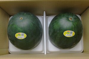 【限定1箱】熊本県産 小玉スイカ「夢黒小玉」超大玉 4Lサイズ 2玉入 (1玉3㎏前後) 合計約6kg 1円スタート