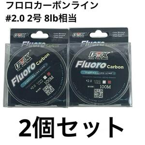 FTK フロロカーボンライン 100m巻 2号 8lb 2個セット フィッシング