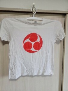 かなまら祭り 半袖 Tシャツ 中古 肩幅48 