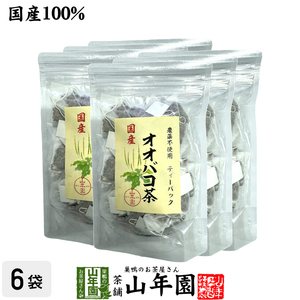 お茶 健康茶 国産 100% オオバコ茶ティーパック 1.5g×20p×6袋セット 無農薬 ノンカフェイン 宮崎県産